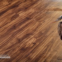 Фотография ламели - Кварцвиниловая плитка Natura Original Орех Франэ -  класса