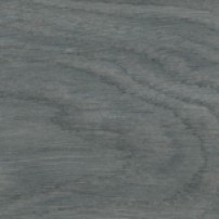Фотография ламели - Кварцвиниловая плитка Forbo Effekta Standart Grey Rustic Oak -  класса