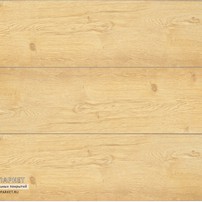Фотография ламели - Кварцвиниловая плитка CM Floor ScandiWood SPC Дуб Орегон 09 -  класса